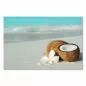 Preview: Eine frische Kokosnuss und eine zarte Blume am Sandstrand strahlen Ruhe und Urlaubsfeeling aus. Preview: Eine frische Kokosnuss und eine zarte Blume am Sandstrand strahlen Ruhe und Urlaubsfeeling aus.