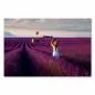 Preview: Frau in Weiß, Sonnenhut, fotografiert Lavendelfeld, Heißluftballon am Horizont. Preview: Frau in Weiß, Sonnenhut, fotografiert Lavendelfeld, Heißluftballon am Horizont.