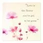 Preview: "Liebe ist...", Zitat: Liebe als Blume, die gepflegt werden muss, rosa Blumen. Preview: "Liebe ist...", Zitat: Liebe als Blume, die gepflegt werden muss, rosa Blumen.