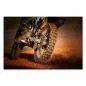 Preview: Ein Motorrad fährt durch staubiges Gelände – ein Bild voller Abenteuerlust und Action. Preview: Ein Motorrad fährt durch staubiges Gelände – ein Bild voller Abenteuerlust und Action.