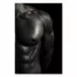 Preview: Schwarz-Weiß-Fotografie: Trainierter männlicher Oberkörper, definierte Muskeln. Preview: Schwarz-Weiß-Fotografie: Trainierter männlicher Oberkörper, definierte Muskeln.