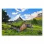 Preview: Holzhäuser mit Grasdächern auf Wiese, Norwegen, Berg im Hintergrund. Preview: Holzhäuser mit Grasdächern auf Wiese, Norwegen, Berg im Hintergrund.