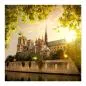 Preview: Kathedrale Notre Dame in Paris, Morgensonne, gotische Architektur, malerisch. Preview: Kathedrale Notre Dame in Paris, Morgensonne, gotische Architektur, malerisch.