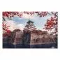 Preview: Osaka Schloss (Japan), Wassergraben, rote Herbstblätter, malerisch. Preview: Osaka Schloss (Japan), Wassergraben, rote Herbstblätter, malerisch.