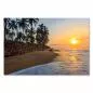Preview: Palmen säumen Strand, Sonnenaufgang über dem Meer, warme Farben am Himmel. Preview: Palmen säumen Strand, Sonnenaufgang über dem Meer, warme Farben am Himmel.