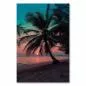 Preview: Strand mit Palmen, Sonnenuntergang, warme Farben, Meer glitzert. Preview: Strand mit Palmen, Sonnenuntergang, warme Farben, Meer glitzert.