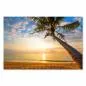 Preview: Palme neigt sich über tropischen Strand, Sonnenuntergang, warme Farben. Preview: Palme neigt sich über tropischen Strand, Sonnenuntergang, warme Farben.
