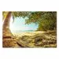 Preview: Ein paradiesischer Strand mit Palmen und türkisblauem Meer - ein Traum für alle Urlaubsliebhaber. Preview: Ein paradiesischer Strand mit Palmen und türkisblauem Meer - ein Traum für alle Urlaubsliebhaber.
