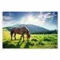 Preview: Pferd grast auf Wiese, Berge im Hintergrund, Sonnenuntergang, warme Farben. Preview: Pferd grast auf Wiese, Berge im Hintergrund, Sonnenuntergang, warme Farben.