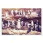 Preview: Ein einzelner Pinguin hebt sich von der großen Kolonie im Hintergrund ab. Preview: Ein einzelner Pinguin hebt sich von der großen Kolonie im Hintergrund ab.
