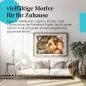 Preview: Apfelblüte im Abendlicht | Postereck 3202 Preview: Apfelblüte im Abendlicht | Postereck 3202