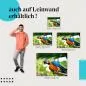 Preview: Ara: Leinwandbild. Blau-gelb, Dschungel. Wähle deine Größe! Preview: Ara: Leinwandbild. Blau-gelb, Dschungel. Wähle deine Größe!