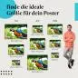 Preview: Ara, Poster: Blau-gelb, Dschungel, Federkleid. Preview: Ara, Poster: Blau-gelb, Dschungel, Federkleid.