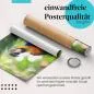 Preview: Gerolltes Poster "Ara". Tropische Tierwelt, sicher verpackt. Preview: Gerolltes Poster "Ara". Tropische Tierwelt, sicher verpackt.