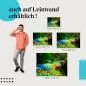 Preview: Ara: Leinwandbild. Bunt, Dschungel, aufmerksam. Preview: Ara: Leinwandbild. Bunt, Dschungel, aufmerksam.