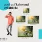 Preview: Reisfeld: Leinwandbild. Bauer, Reissetzlinge, Sonnenlicht. Preview: Reisfeld: Leinwandbild. Bauer, Reissetzlinge, Sonnenlicht.
