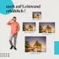 Preview: Baum am Strand | Postereck 3116 Preview: Baum am Strand | Postereck 3116