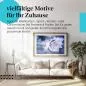 Preview: Blaue Rose im Morgentau | Postereck 1330 Preview: Blaue Rose im Morgentau | Postereck 1330