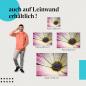 Preview: Blüte: Leinwandbild. Makro, weiß-rosa, Wassertropfen.