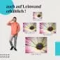 Preview: Blume mit Tautropfen | Postereck 3273 Preview: Blume mit Tautropfen | Postereck 3273