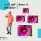 Preview: Leinwandbild "Blütenpracht": Die Schönheit der Natur