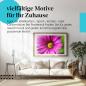 Preview: Dieses Leinwandbild mit der lila Blume ist ein Hingucker und versprüht Frühlingsgefühle.