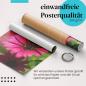 Preview: "Pinke Blume": Gerolltes Poster - Tautropfen, leuchtend.