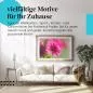 Preview: Leuchtende Schönheit: Pinke Blume | Postereck 1372 Preview: Leuchtende Schönheit: Pinke Blume | Postereck 1372