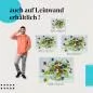 Preview: Stiefmütterchenstrauß: Farbenfroh | Postereck 1900
