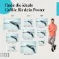 Preview: Wähle die ideale Postergröße: Buckelwal springt aus dem Wasser. Preview: Wähle die ideale Postergröße: Buckelwal springt aus dem Wasser.