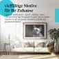 Preview: Französische Bulldogge | Postereck 4073 Preview: Französische Bulldogge | Postereck 4073