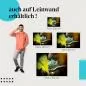 Preview: Chamäleon: Leinwandbild. Bunt, Ast. Preview: Chamäleon: Leinwandbild. Bunt, Ast.