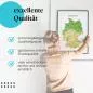 Preview: Deutschlandkarte: Städte & Bundesländer | Postereck 1189 Preview: Deutschlandkarte: Städte & Bundesländer | Postereck 1189