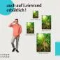 Preview: Im Dschungel: Baumwurzeln | Postereck 1325 Preview: Im Dschungel: Baumwurzeln | Postereck 1325