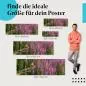 Preview: Eisvogel und Blüten | Postereck 4115 Preview: Eisvogel und Blüten | Postereck 4115