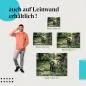 Preview: Majestätischer Elefant: Dickicht | Postereck 1277 Preview: Majestätischer Elefant: Dickicht | Postereck 1277