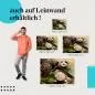 Preview: "Exotische Wellness" Leinwandbild. Finde die ideale Größe und setze Akzente! Preview: "Exotische Wellness" Leinwandbild. Finde die ideale Größe und setze Akzente!