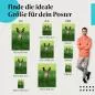Preview: Feldhase | Postereck 3522 Preview: Feldhase | Postereck 3522