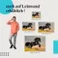 Preview: "Friesenhengst" Leinwandbild. Finde die ideale Größe & setze stilvolle Akzente mit Kunst! Preview: "Friesenhengst" Leinwandbild. Finde die ideale Größe & setze stilvolle Akzente mit Kunst!
