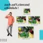 Preview: Frische Kräuter | Postereck 2551 Preview: Frische Kräuter | Postereck 2551