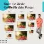 Preview: Entdecke die passende Größe: Frosch, Blüte, grün, Augen. Preview: Entdecke die passende Größe: Frosch, Blüte, grün, Augen.