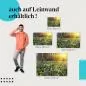 Preview: Frühlingswald im Sonnenlicht | Postereck 1764 Preview: Frühlingswald im Sonnenlicht | Postereck 1764
