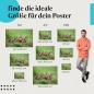 Preview: Fuchswelpen, Poster: Gras, niedlich, verspielt.