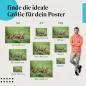 Preview: Fuchswelpen | Postereck 3479 Preview: Fuchswelpen | Postereck 3479