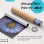 Preview: Gänseblümchen | Postereck 2899 Preview: Gänseblümchen | Postereck 2899