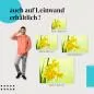 Preview: Frühlingsboten: Gelbe Narzissen | Postereck 1754 Preview: Frühlingsboten: Gelbe Narzissen | Postereck 1754
