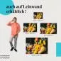 Preview: Gemüse & Kräuter | Postereck 3900