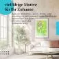 Preview: Glasflügelfalter: Exotische Schönheit | Postereck 1515 Preview: Glasflügelfalter: Exotische Schönheit | Postereck 1515