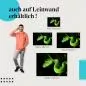 Preview: Leinwandbild "Grüne Viper": Faszination & Wildnis Preview: Leinwandbild "Grüne Viper": Faszination & Wildnis