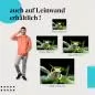 Preview: "Frosch" Leinwandbild. Finde die ideale Größe für dein Zuhause & setze Akzente! Preview: "Frosch" Leinwandbild. Finde die ideale Größe für dein Zuhause & setze Akzente!